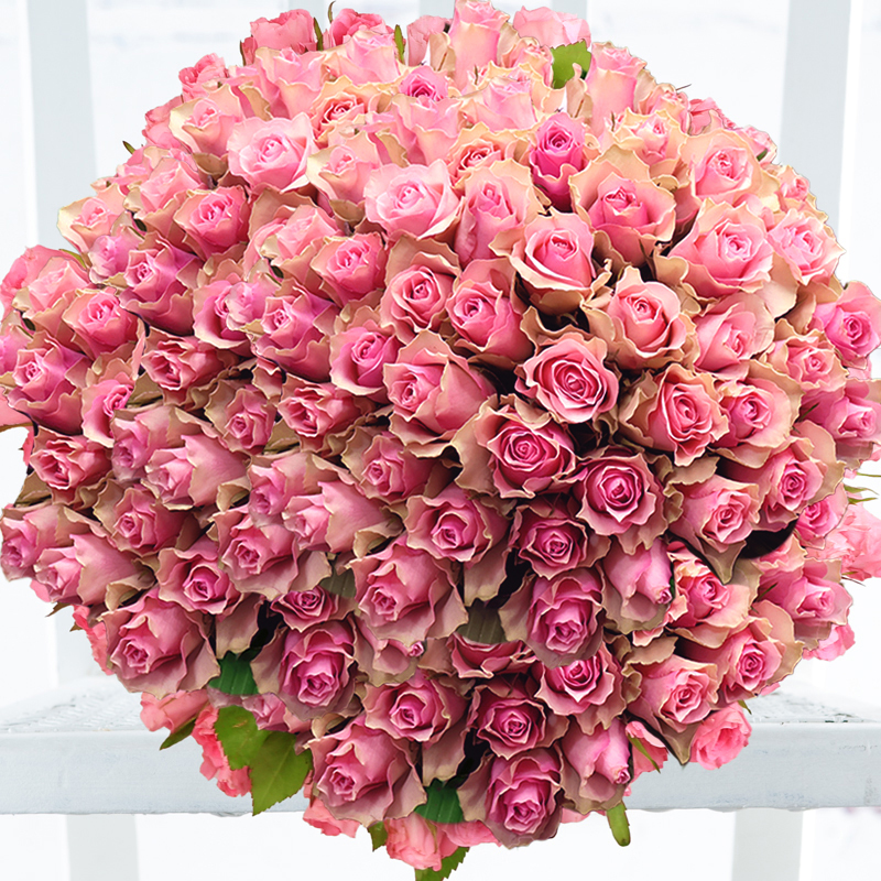 100 Pink Roses Bouquet - Next Day Flower Delivery UK - Appleyard London