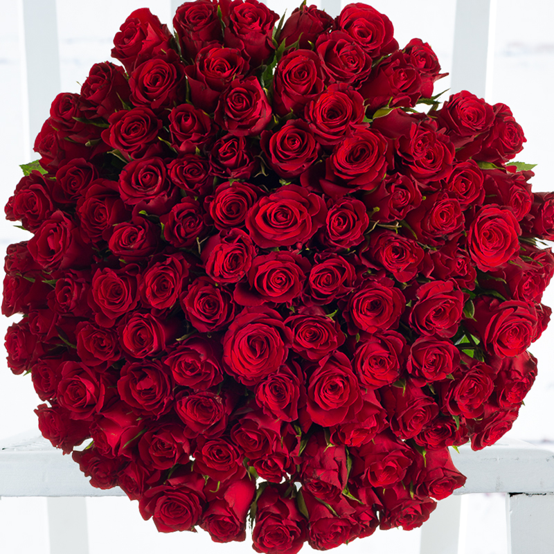 100 Red Roses - Deluxe Red Rose Flower Bouquet - Hand-Tied by Luxury Florist - Red - Next Day Flower Delivery UK - Appleyard London