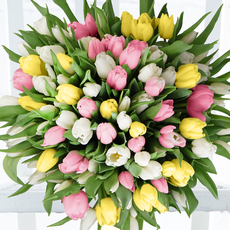 100 Springtime Tulips - Flower Bouquet - Next Day Flower Delivery UK - Appleyard London