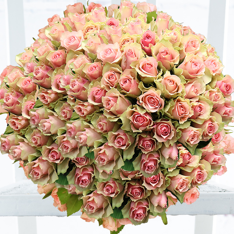 100 Pink Roses - Deluxe Rose Flower Bouquet - Hand-Tied by Luxury Florist - Next Day Flower & Gift Delivery UK - Appleyard London
