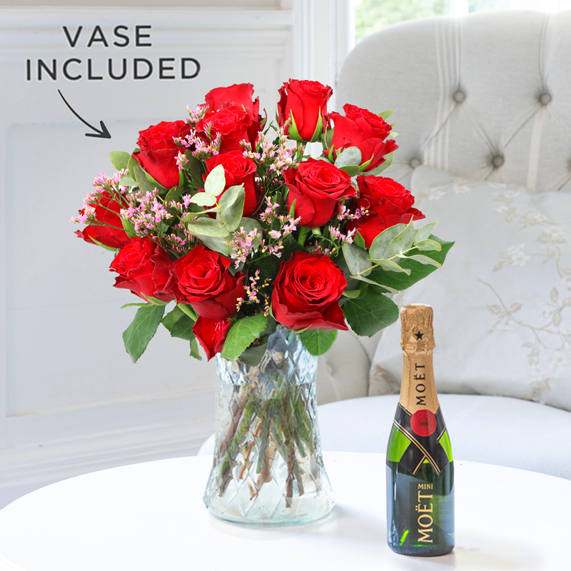 12-24 Opulent Red Roses, Mini Moët & Chandon (20cl) & Vase image