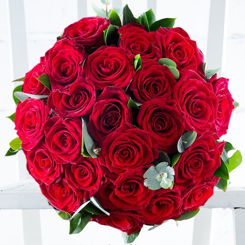 12-24 Large Headed Red Roses