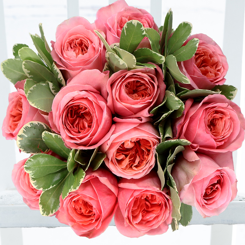 12 Pink Garden Roses - Vibrant Summer Flowers - Flower Bouquet - Pink - Next Day Flower Delivery UK - Appleyard London