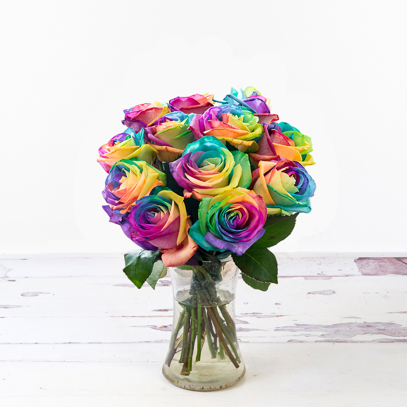 Rainbow Roses