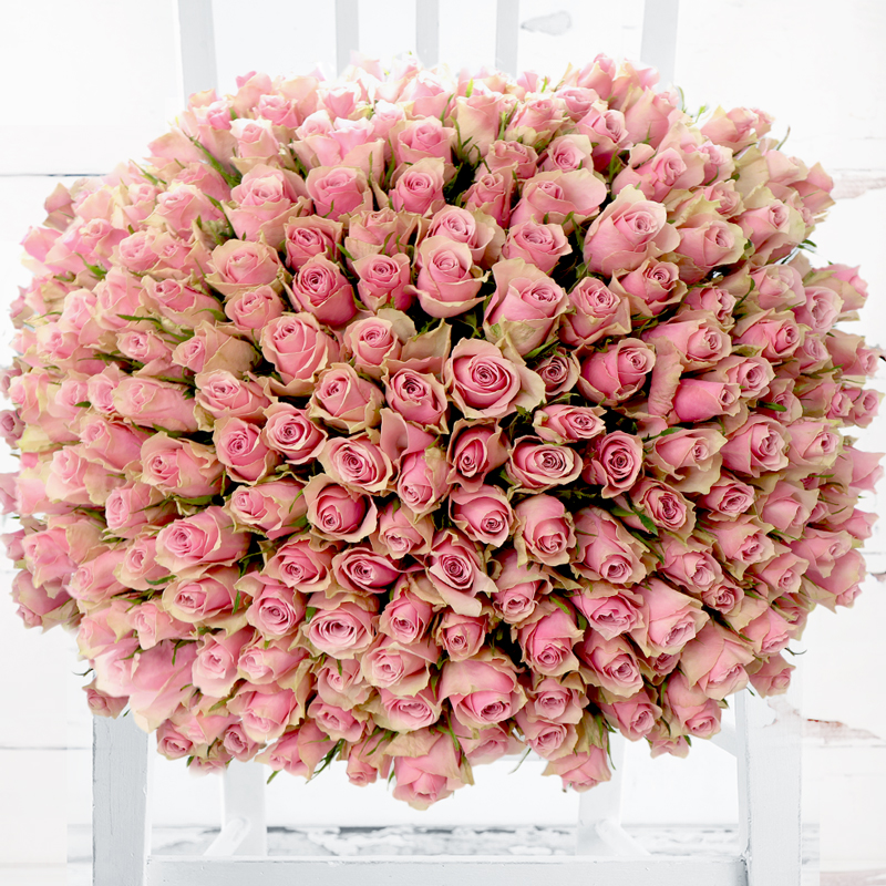 200 Pink Roses - Deluxe Rose Flower Bouquet - Hand-Tied by Luxury Florist - Roses - Next Day Flower & Gift Delivery UK - Appleyard London