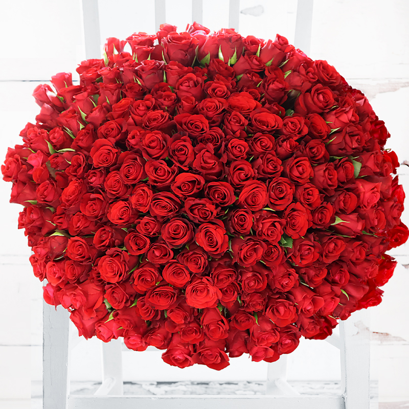 200 Red Roses - Deluxe Red Rose Flower Bouquet - Hand-Tied by Luxury Florist - Next Day Flower & Gift Delivery UK - Appleyard London