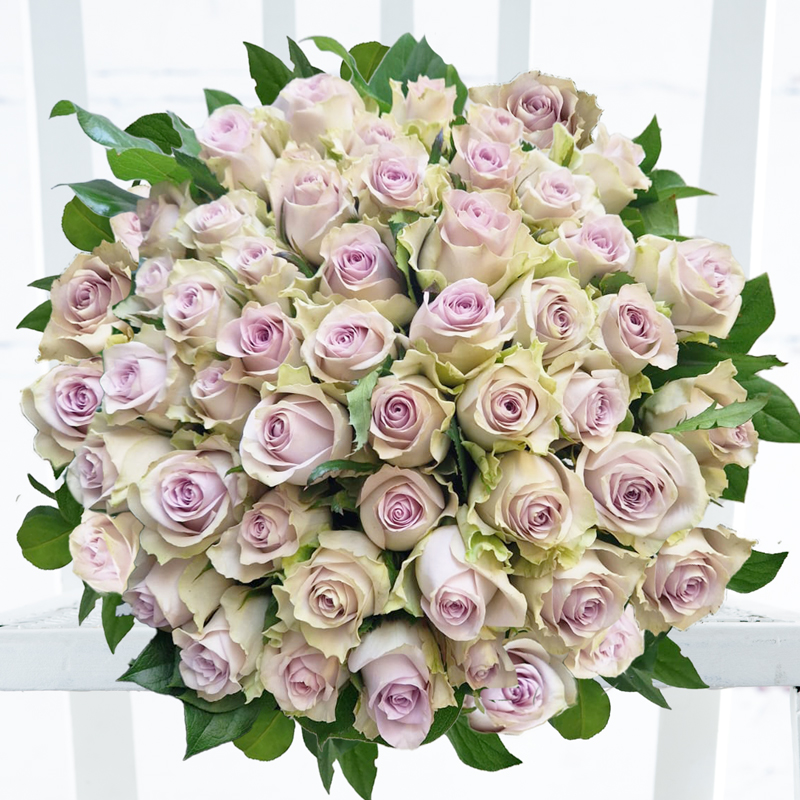 50 Lavender Roses image
