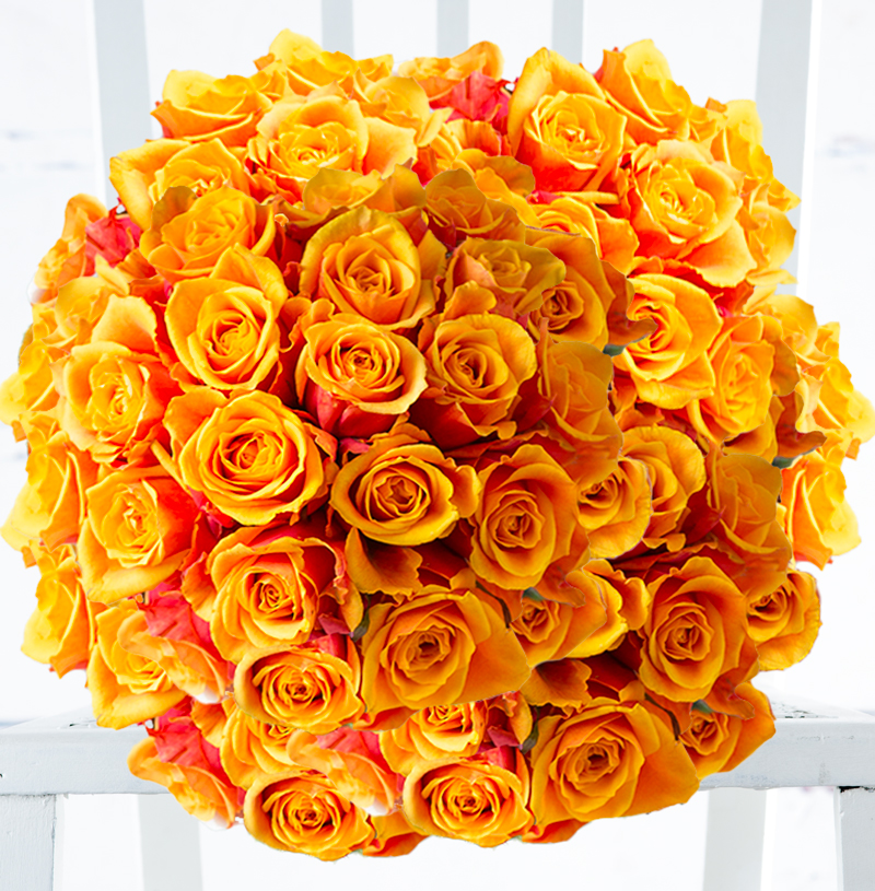 50 Orange Roses image
