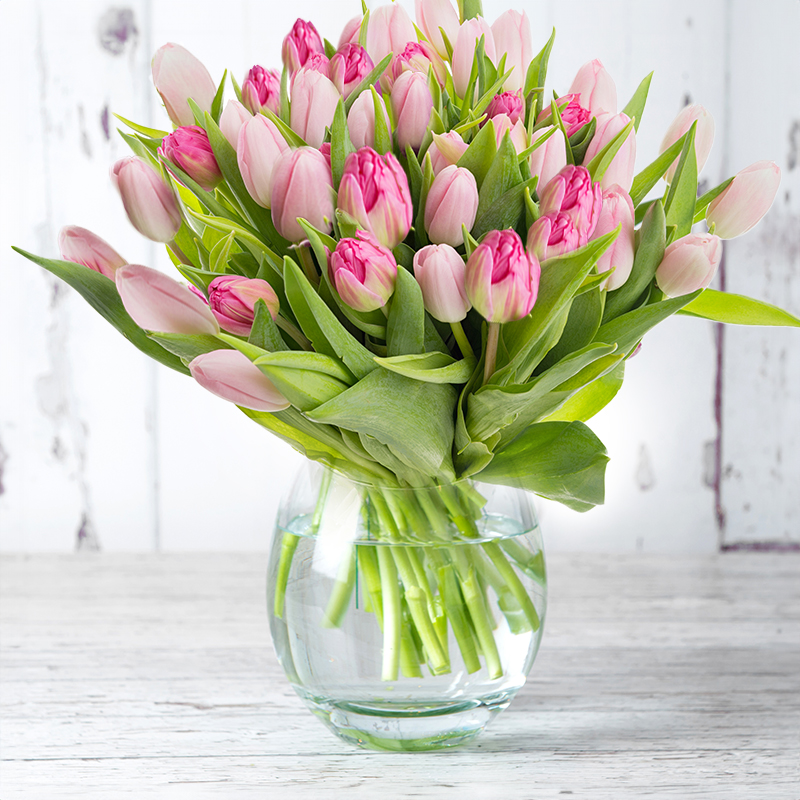 50 Pink Tulips image