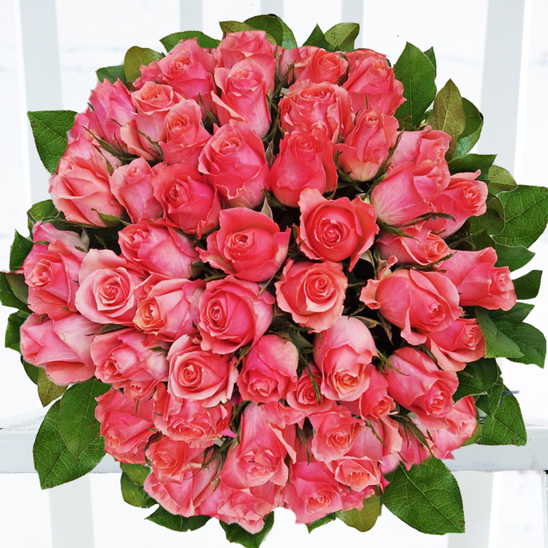 50 Pink Roses image