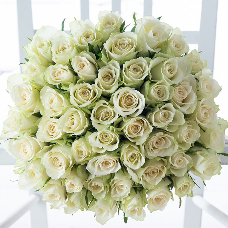 50 White Roses image