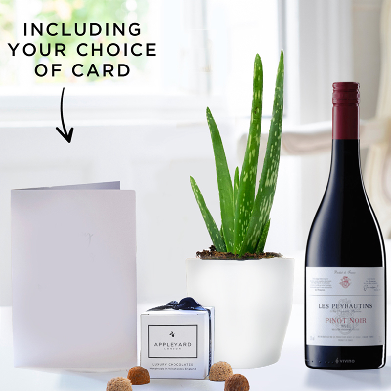 Aloe Vera Plant in a Pot, Les Peyrautins Pinot Noir, 6 Mixed Truffles & Gift Card image