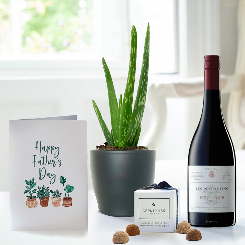 Aloe Vera Plant in a Pot, Les Peyrautins Pinot Noir, 6 Mixed Truffles & Gift Card