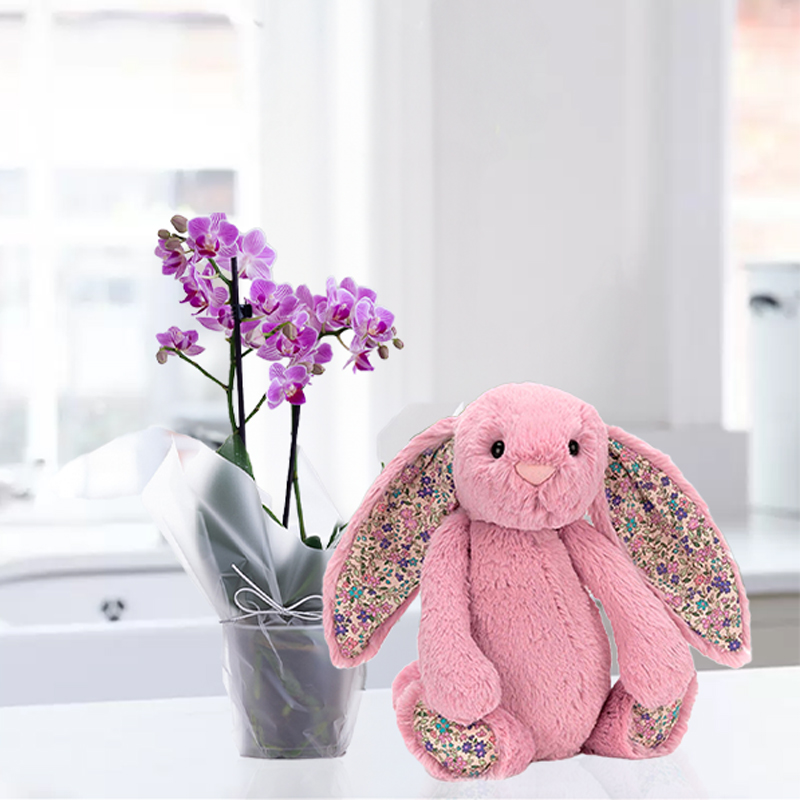Mini Pink Orchid & Jellycat® Pink Blossom Bunny image