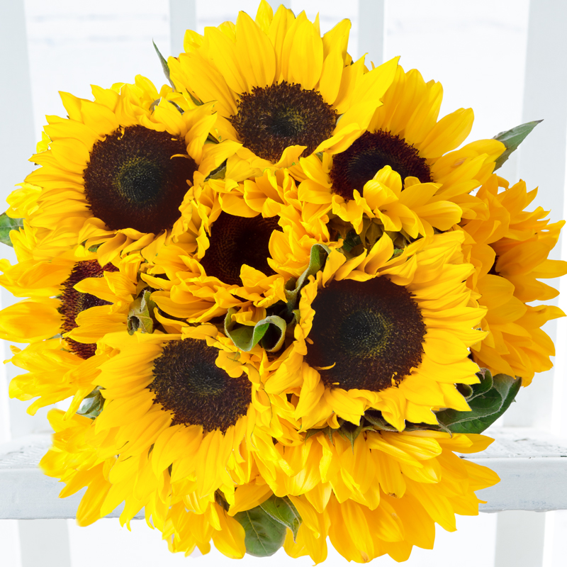 Simply Sunflowers