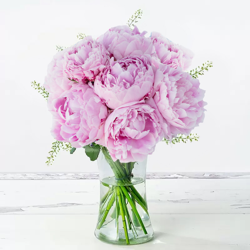 Pink Peonies image