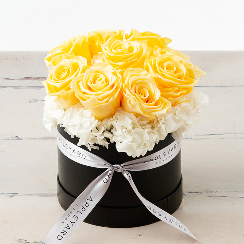 Champagne Rose & White Hydrangea Hatbox (Lasts Up To A Year)