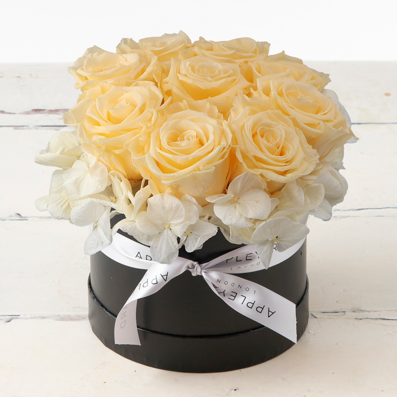 Champagne Rose & White Hydrangea Hatbox (Lasts Up To A Year) image