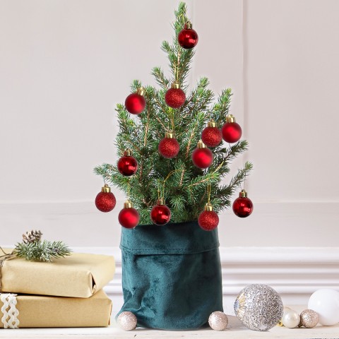 Mini Christmas Tree with 14 Christmas Red Baubles