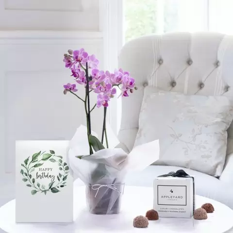 Mini Pink Orchid, 6 Mixed Truffles & Birthday Card