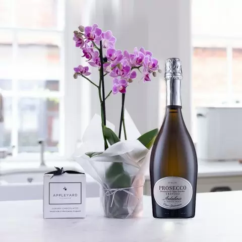 Pink Orchid, Prosecco & 6 Mixed Truffles