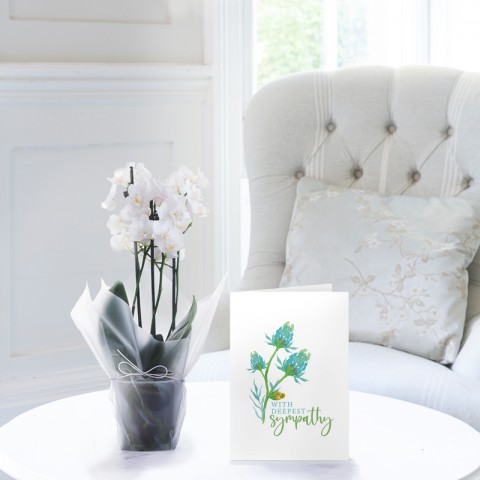 White Orchid & Sympathy Gift Card