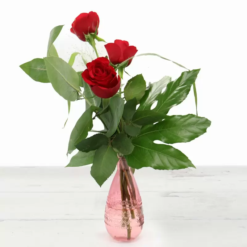 Red Rose Bud Vase Gift Set