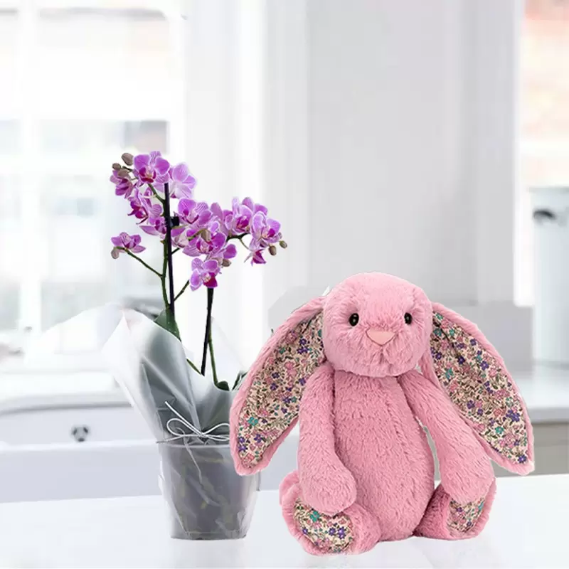 Mini Pink Orchid & Jellycat® Pink Blossom Bunny