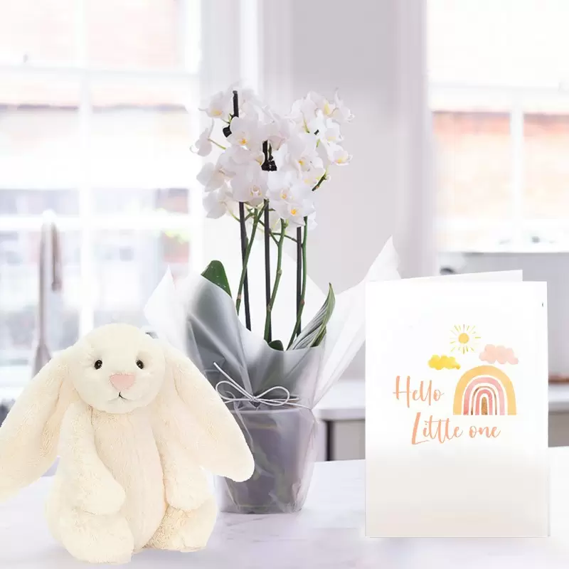 White Mini Orchid, Jellycat Cream Bunny & New Baby Card
