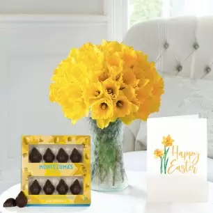 100 Daffodils, Dark Chocolate Chicks & Easter Card