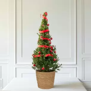 Christmas Adorn Christmas Tree