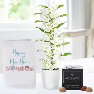 White Scented Dendrobium Orchid in Pot, 12 Truffles & New Home Card
