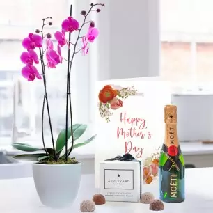 Double Stem Pink Orchid In Pot, Mini Moet (20cl), 6x Mixed Truffles & Mother's Day Card