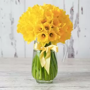 100 Finest Daffodils 