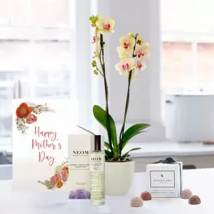 Florida Sunset Orchid in Pot, NEOM Pillow Mist, 6 Mixed Truffles & Mother's Day Card