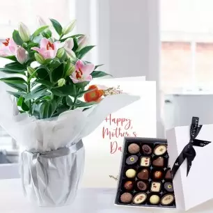 Gift Wrapped Pink Lily Plant, 25x Luxury Chocolates & Mother's Day Card