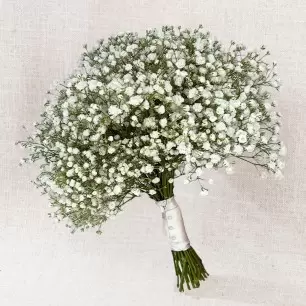 Gypsophilia Bridal Bouquet