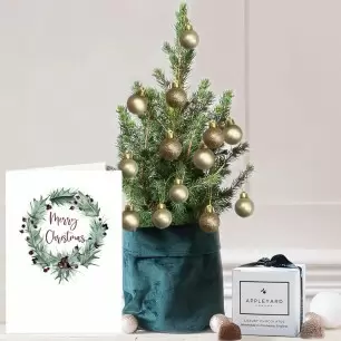 Medium Christmas Tree with Champagne baubles, 6 Mixed Truffles & Card