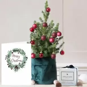 Medium Christmas Tree with Dark Red baubles, 6 Mixed Truffles & Card