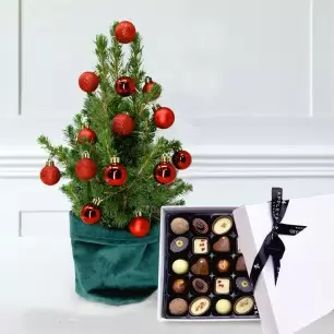 Little Christmas Tree with 14 Christmas Red baubles & Box of 25 Chocolates