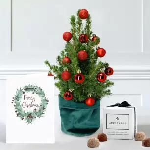 Little Christmas Tree with Christmas Red Baubles & 6 Mixed Truffles & Card