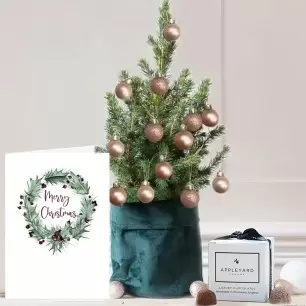 Medium Christmas Tree with Rose Gold baubles, 6 Mixed Truffles & Card