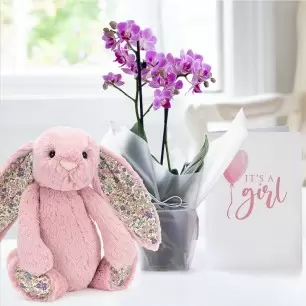 Gift Wrapped Mini Pink Orchid, Jellycat Blossom Bunny & New Baby Girl Card