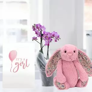 Mini Pink Orchid, Jellycat® Pink Blossom Bunny & New Baby Girl Card