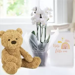 Gift Wrapped Mini White Orchid, Jellycat Bumbly Bear (Medium) & Hello Little One Card