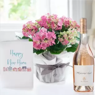 Gift Wrapped Pink Hydrangea Plant, Whispering Angel & New Home Card