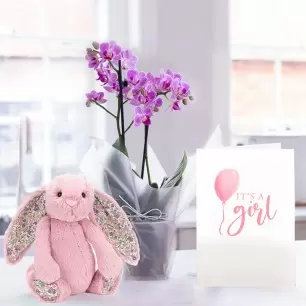Pink Mini Orchid, Jellycat Blossom Bunny & New Baby Girl Card 