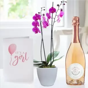 Double Stem Pink Orchid in Pot, Prosecco Rosé & Baby Girl Card