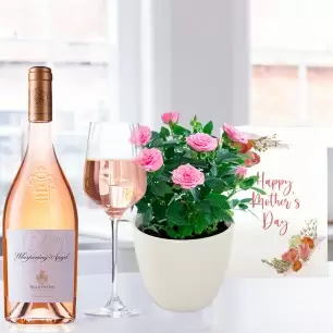 Pink Rose Plant, Whispering Angel (75cl) & Mother's Day Card