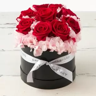Red Rose & Pink Hydrangea Hatbox (Lasts Up To A Year)